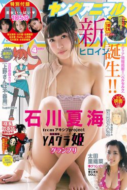 动画片变形金刚