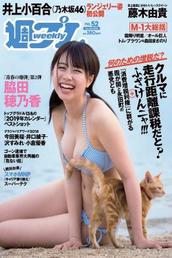 在线免费观看黄页