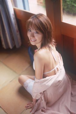 新花蝴蝶