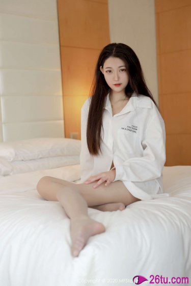 大明按察使